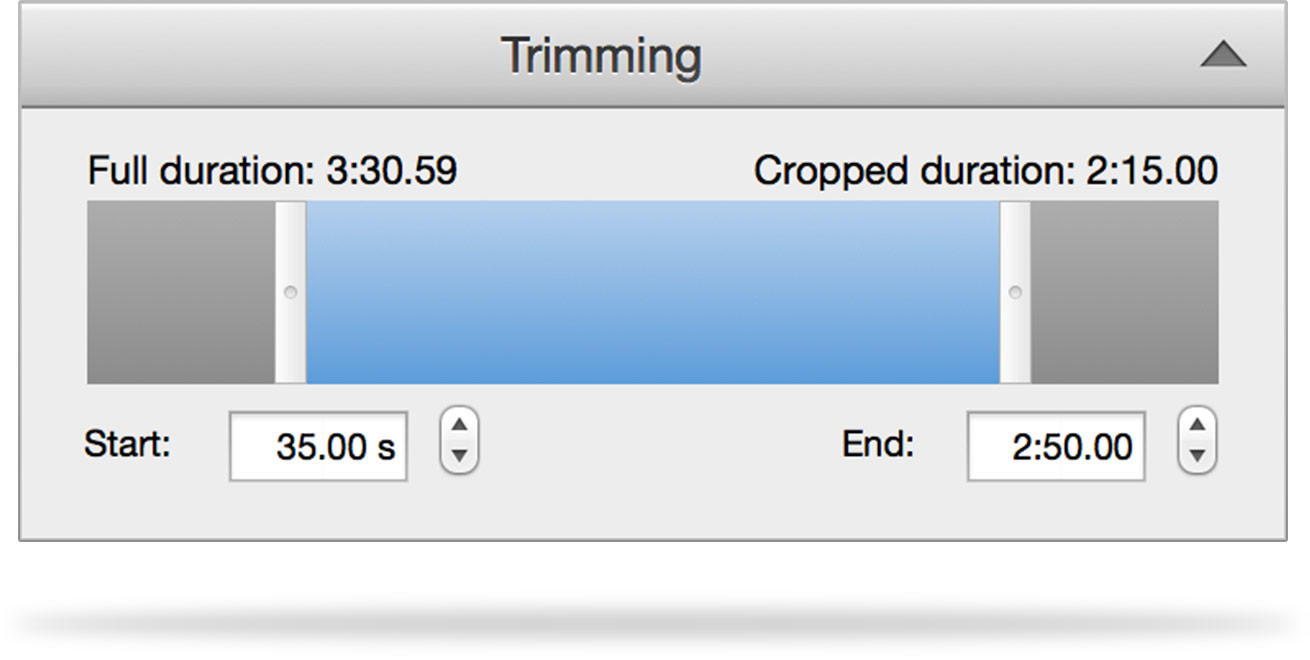 crop video and audio